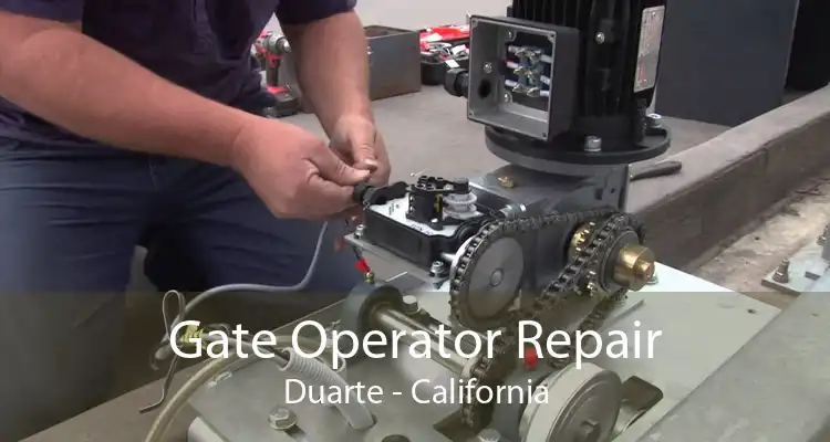 Gate Operator Repair Duarte - California